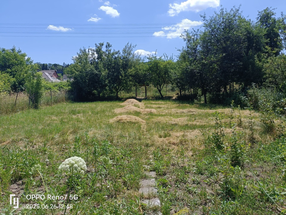 Casă de vânzare sau închiriere cu spațiu comercial Tg Mureș 