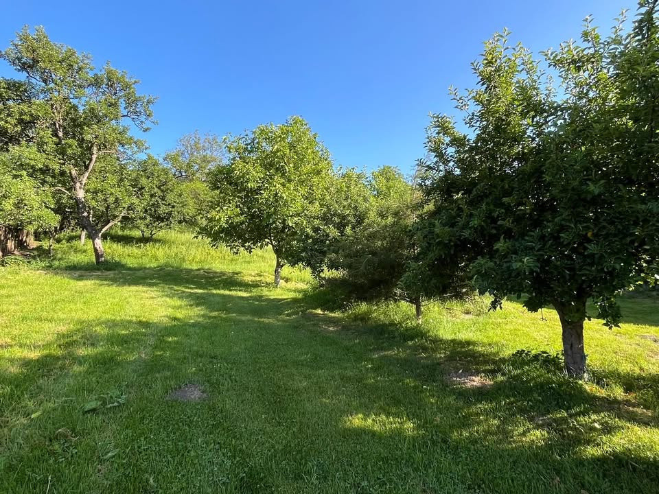 🏡 Casă de vânzare în Hamba | 10 min de Sibiu | teren 2173 mp