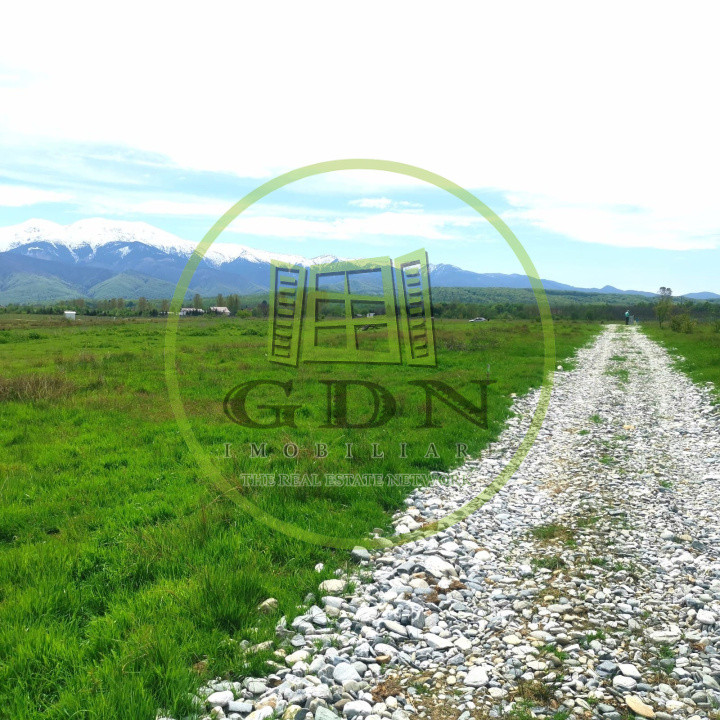 Terenuri extravilan  | 1000 mp, 2000 mp  | Valea Avrigului 