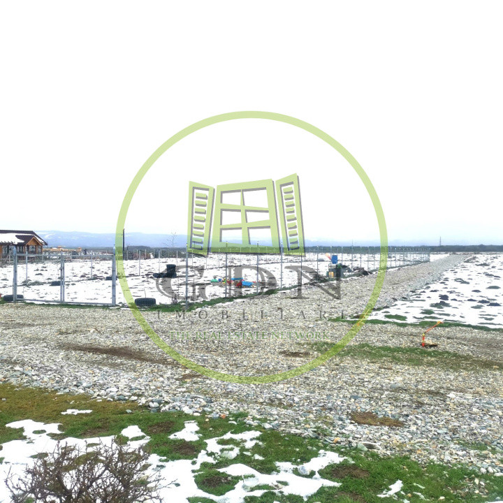 Terenuri extravilan  | 1000 mp, 2000 mp  | Valea Avrigului 