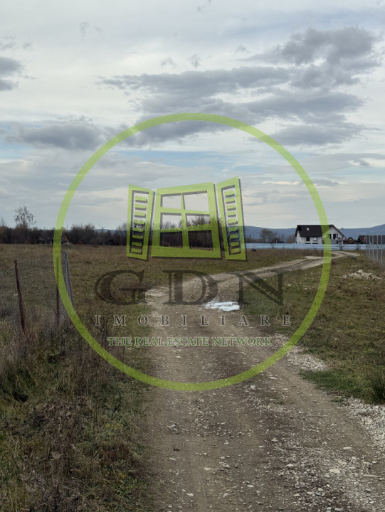 Terenuri extravilan  | 1000 mp, 2000 mp  | Valea Avrigului 