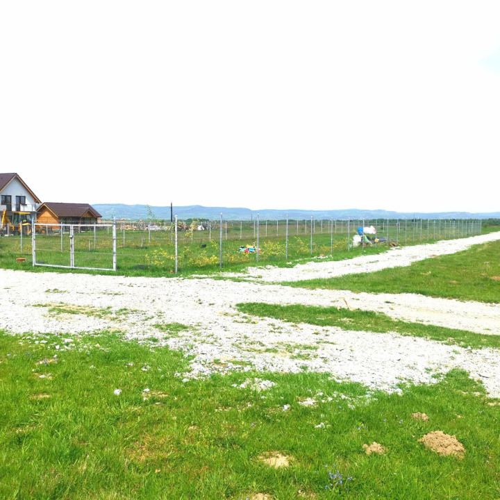 Teren extravilan  de vânzare | 8000 mp|- Valea Avrigului 