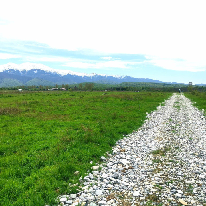 Teren extravilan  de vânzare | 8000 mp|- Valea Avrigului 