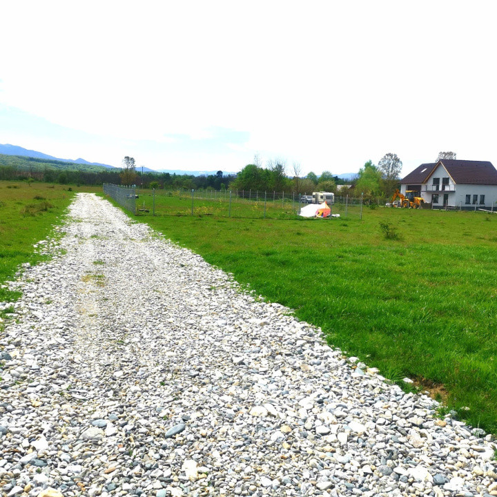 Teren extravilan  de vânzare | 8000 mp|- Valea Avrigului 