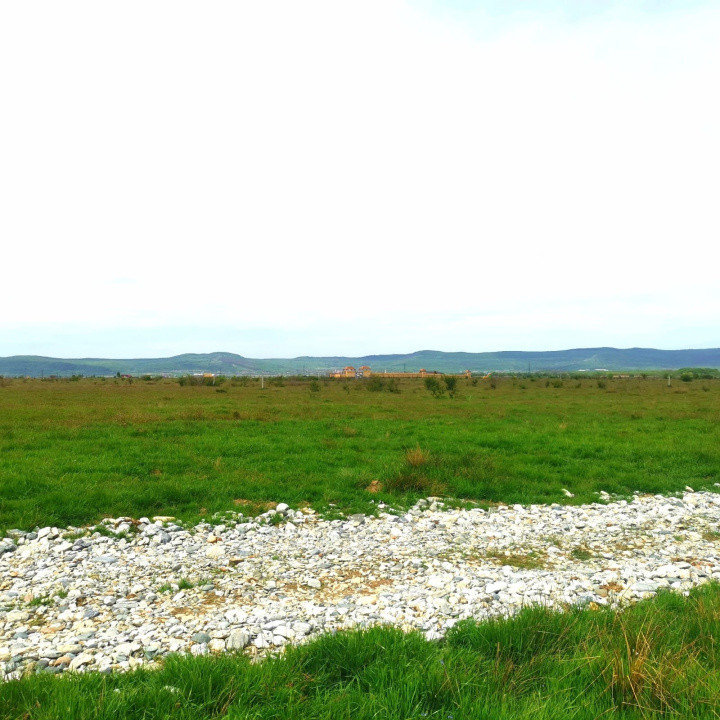 Teren extravilan  de vânzare | 8000 mp|- Valea Avrigului 