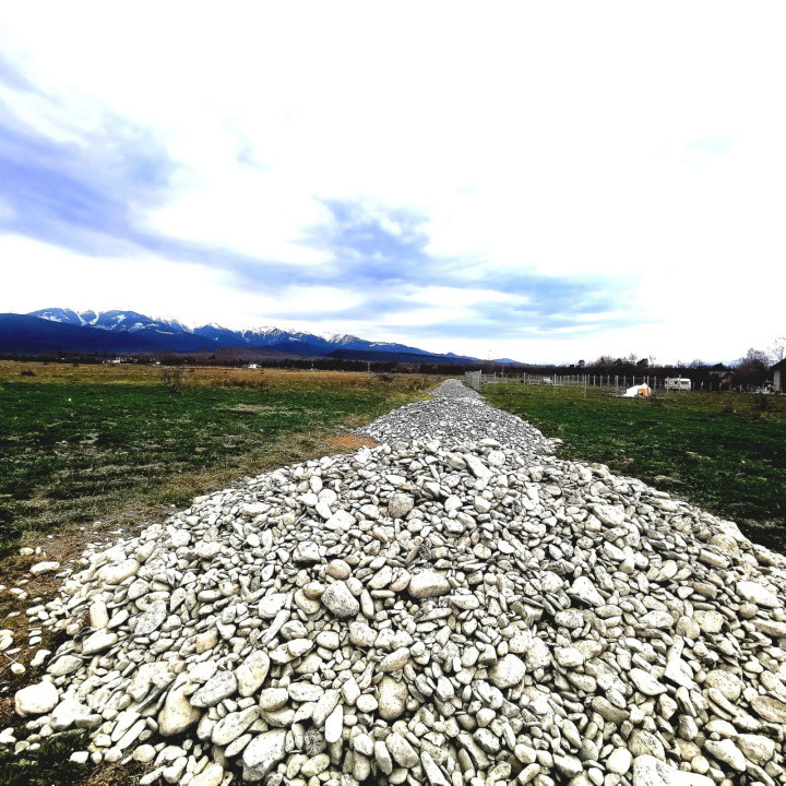 Teren extravilan  de vânzare | 8000 mp|- Valea Avrigului 