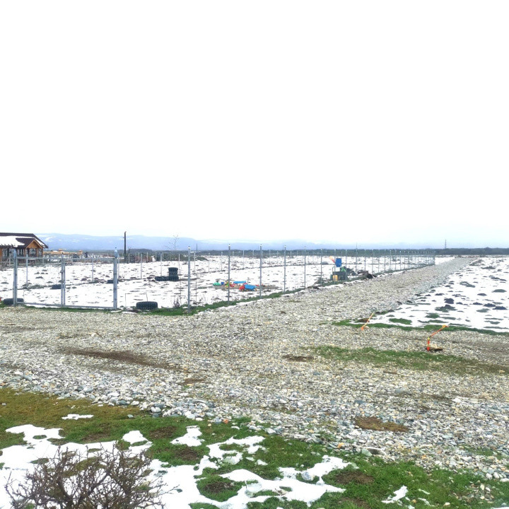 Teren extravilan  de vânzare | 8000 mp|- Valea Avrigului 