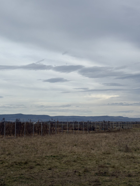 Terenuri extravilan  | 1000 mp, 2000 mp  | Valea Avrigului 