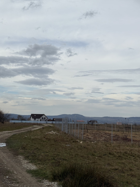 Terenuri extravilan  | 1000 mp, 2000 mp  | Valea Avrigului 