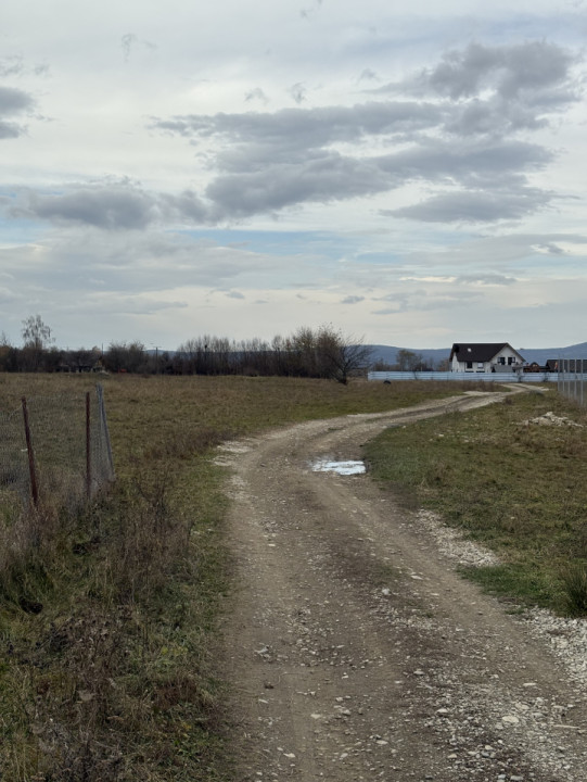 Terenuri extravilan  | 1000 mp, 2000 mp  | Valea Avrigului 