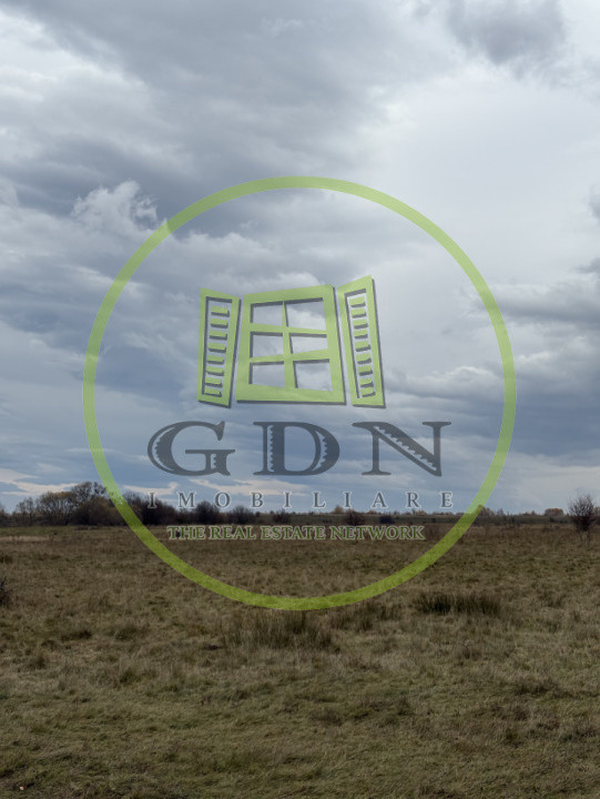 Terenuri extravilan  | 1000 mp, 2000 mp  | Valea Avrigului 