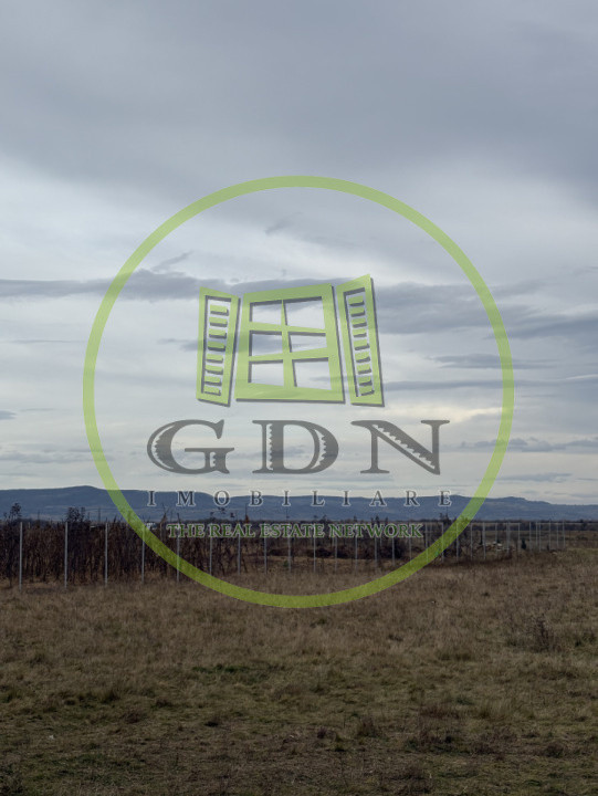 Terenuri extravilan  | 1000 mp, 2000 mp  | Valea Avrigului 