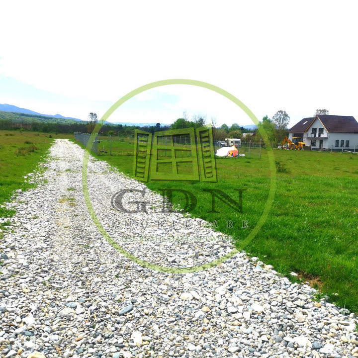 Terenuri extravilan  | 1000 mp, 2000 mp  | Valea Avrigului 