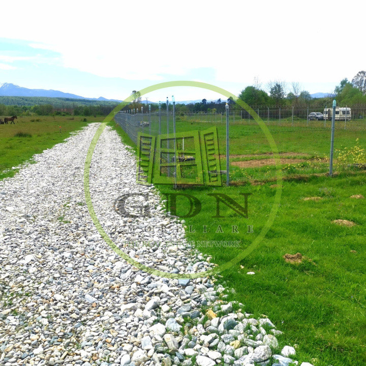 Terenuri extravilan  | 1000 mp, 2000 mp  | Valea Avrigului 