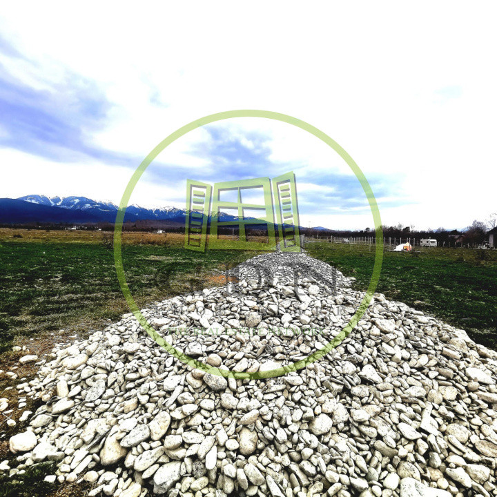 Terenuri extravilan  | 1000 mp, 2000 mp  | Valea Avrigului 