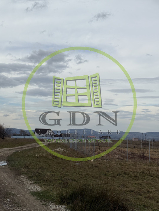 Terenuri extravilan  | 1000 mp, 2000 mp  | Valea Avrigului 