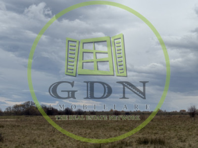 Terenuri extravilan  | 1000 mp, 2000 mp  | Valea Avrigului 