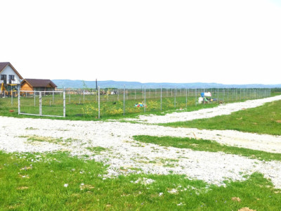 Teren extravilan  de vânzare | 8000 mp|- Valea Avrigului 