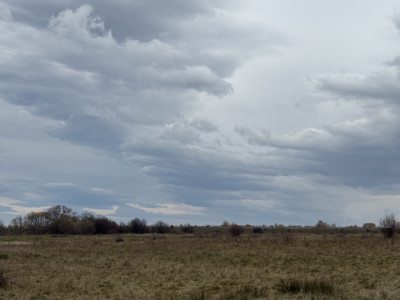Terenuri extravilan  | 1000 mp, 2000 mp  | Valea Avrigului 