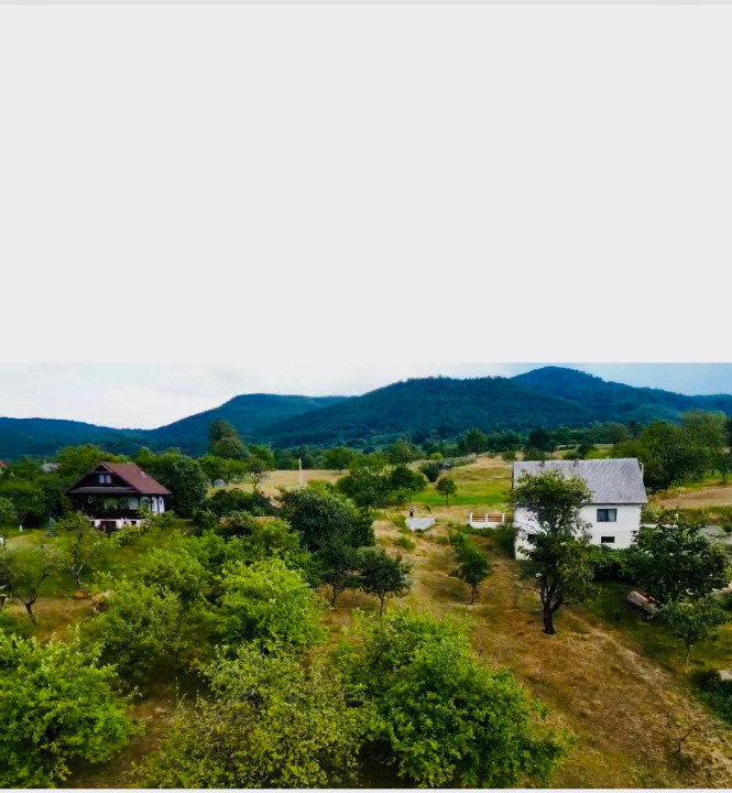 Teren de vanzare Sisesti