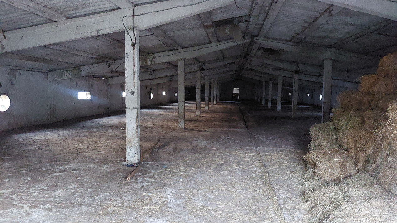 Hale industriale, 7000 mp, Pielesti