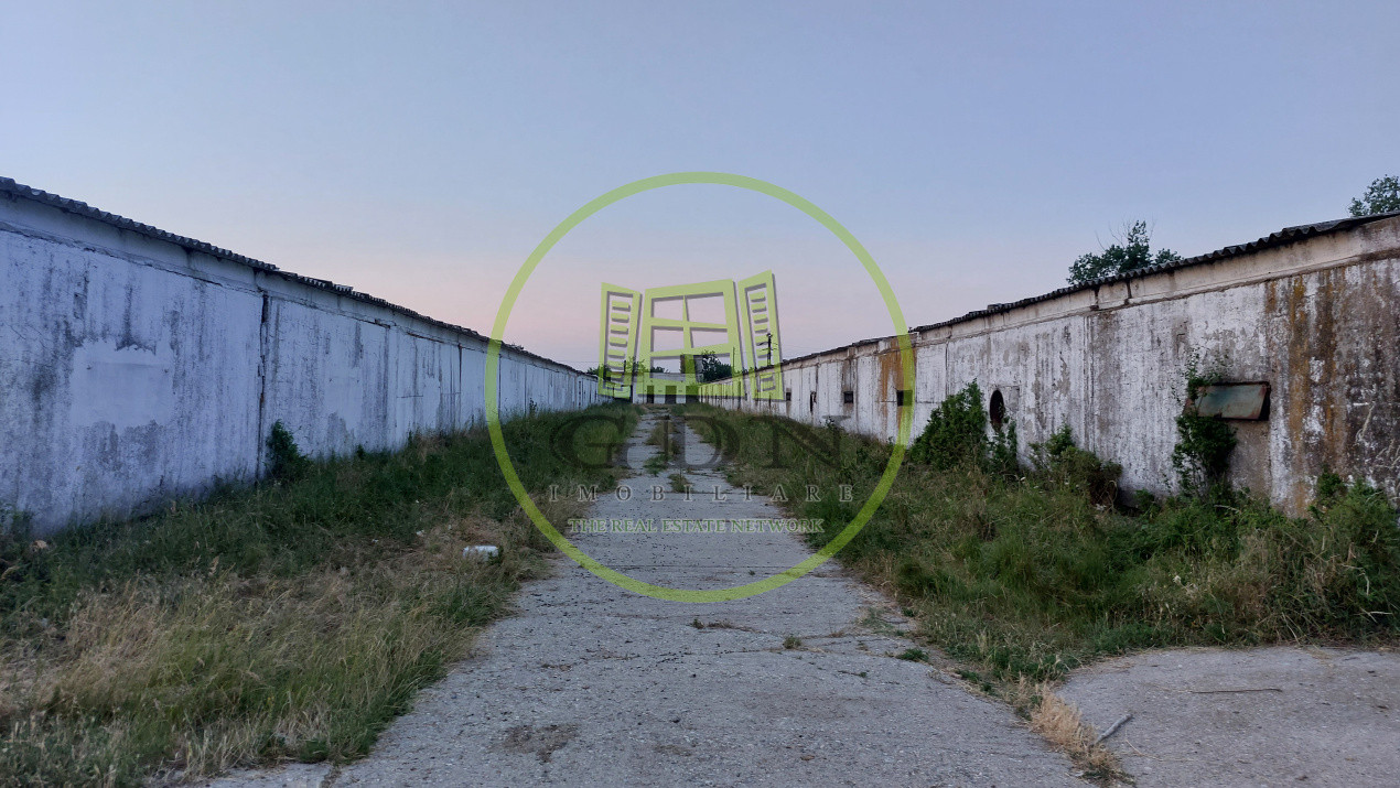 Hale industriale, 7000 mp, Pielesti