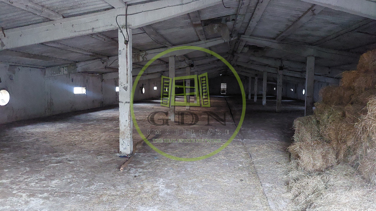 Hale industriale, 7000 mp, Pielesti