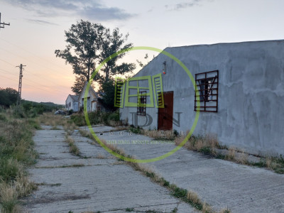 Hale industriale, 7000 mp, Pielesti