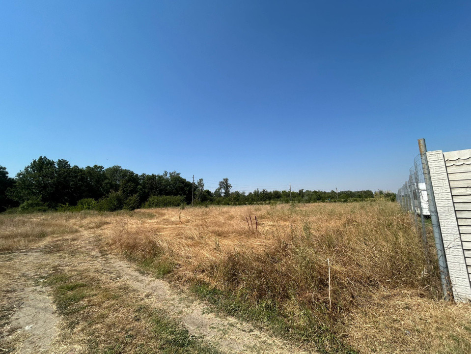 Teren intravilan, 400 MP, Cernele