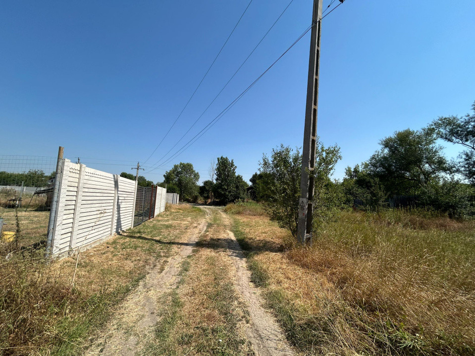 Teren intravilan, 400 MP, Cernele