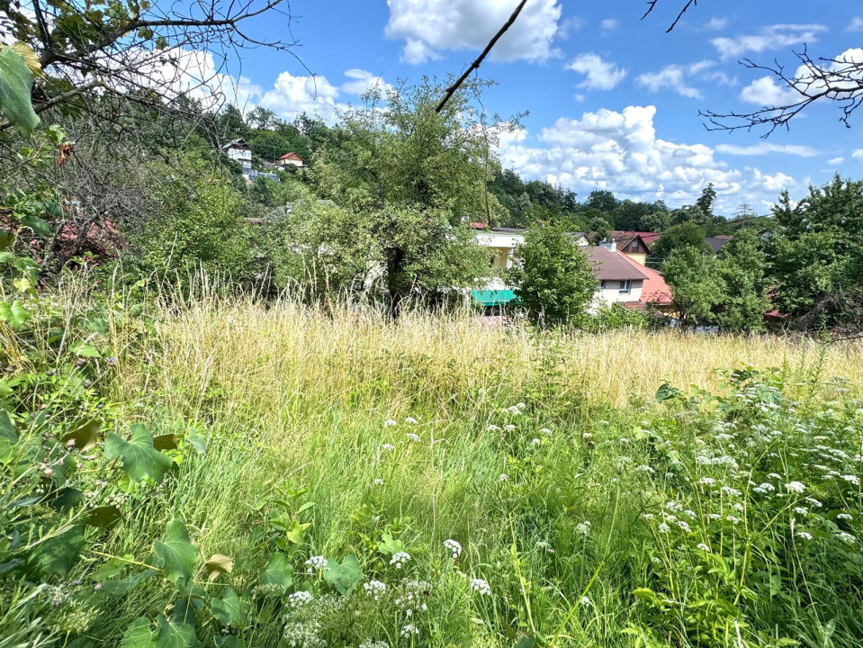 Teren intravilat de vanzare - Valea Rosie