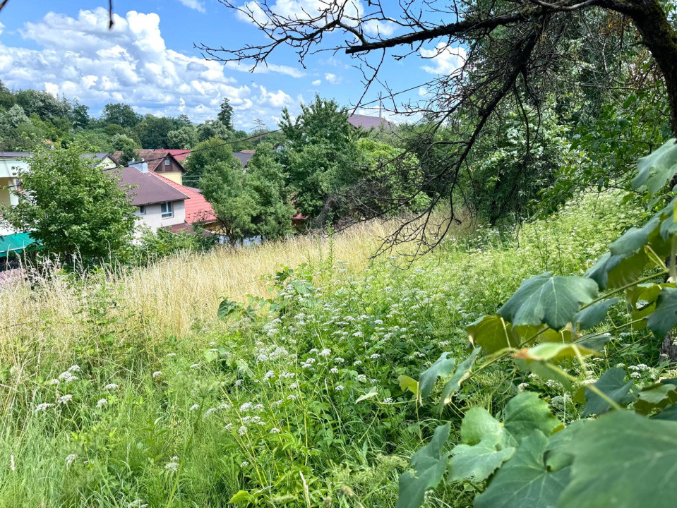 Teren intravilat de vanzare - Valea Rosie