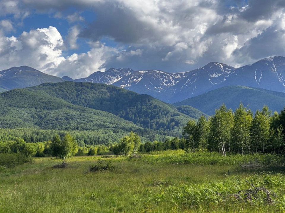 Teren intravilan de vânzare -PUZ aprobat | 860 mp |  Valea Avrigului