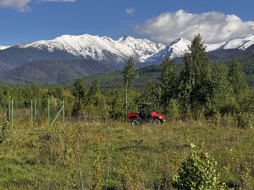 Teren intravilan de vânzare -PUZ aprobat | 860 mp |  Valea Avrigului