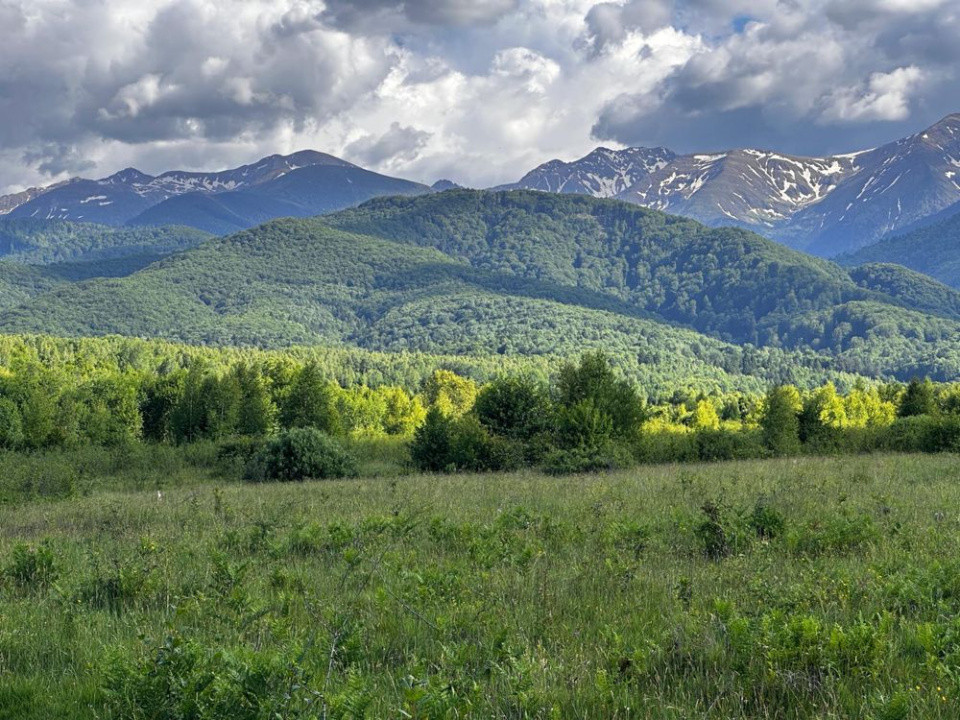 Teren intravilan de vânzare -PUZ aprobat | 860 mp |  Valea Avrigului