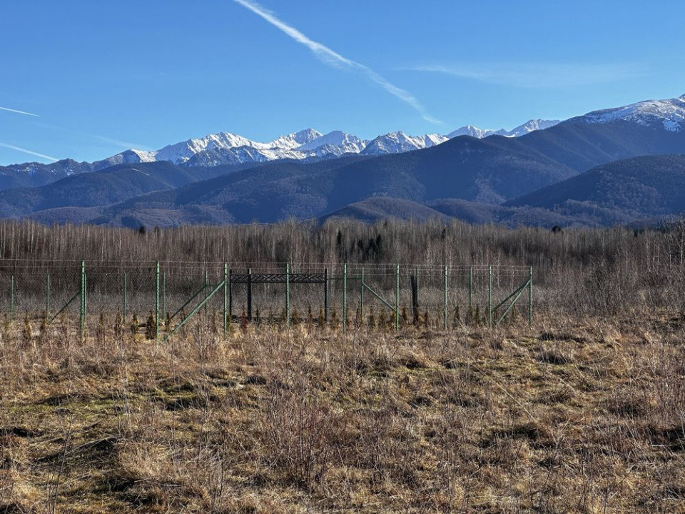 Teren intravilan de vânzare -PUZ aprobat | 860 mp |  Valea Avrigului