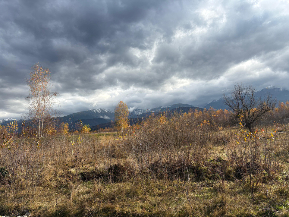 Teren  de vânzare -PUZ aprobat | 860 mp |  Valea Avrigului