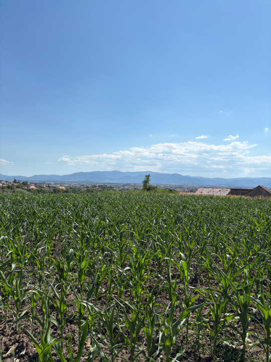 Teren intravilan de vânzare | 1000 mp | zona Gușterița