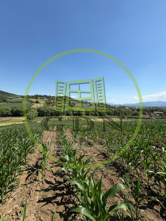 Teren intravilan de vânzare | 1000 mp | zona Gușterița