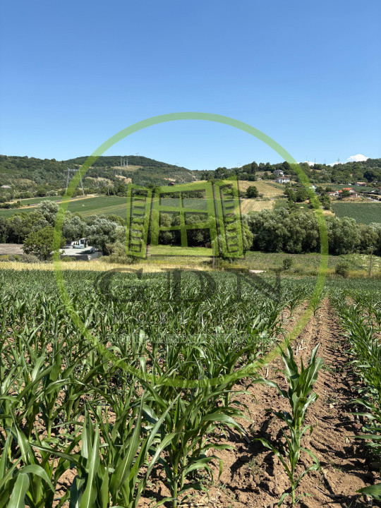 Teren intravilan de vânzare | 1000 mp | zona Gușterița