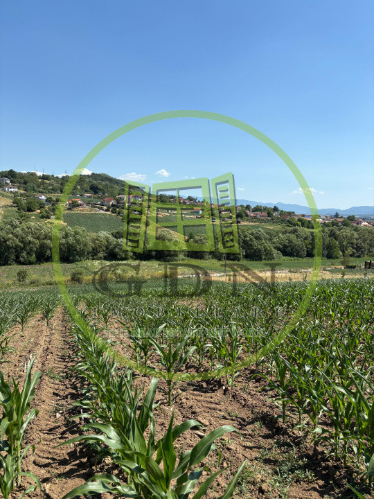 Teren intravilan de vânzare | 1000 mp | zona Gușterița