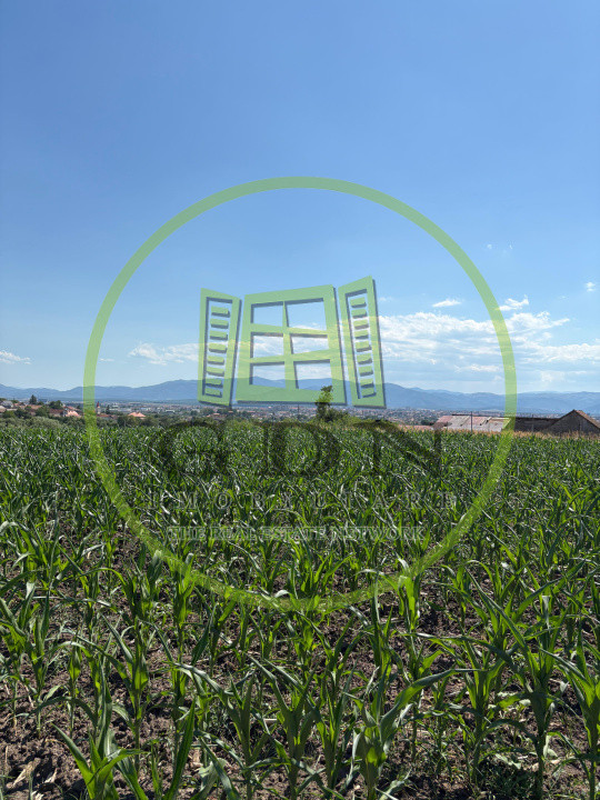 Teren intravilan de vânzare | 1000 mp | zona Gușterița