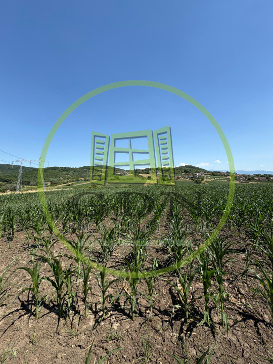 Teren intravilan de vânzare | 1000 mp | zona Gușterița