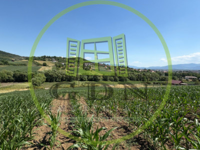 Teren intravilan de vânzare | 1000 mp | zona Gușterița