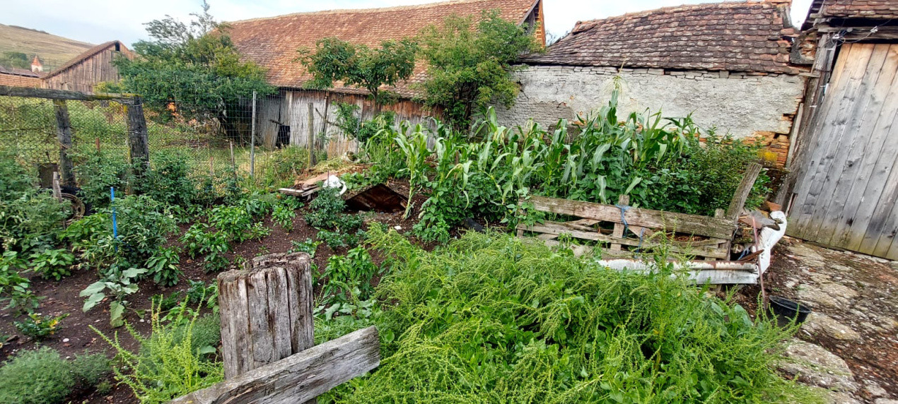 Casa 6 camere suprafata utila 190mp si teren 1440mp,spre vanzare in NOU SB
