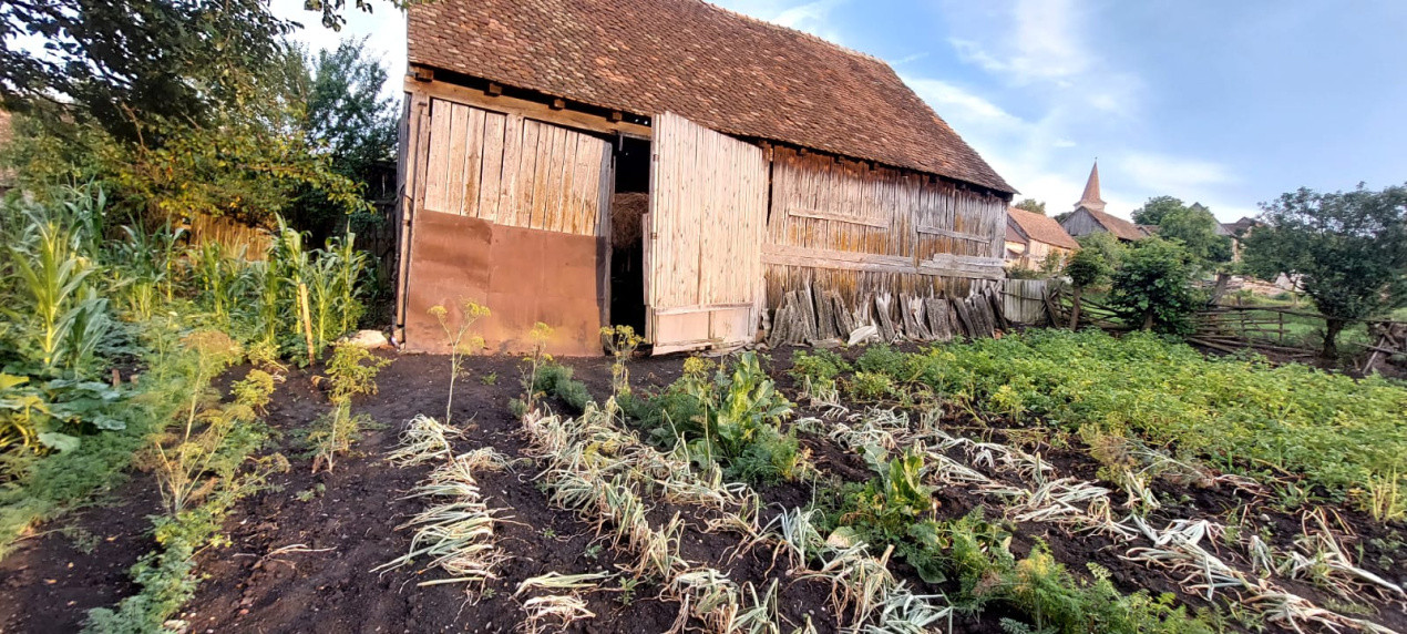 Casa 6 camere suprafata utila 190mp si teren 1440mp,spre vanzare in NOU SB
