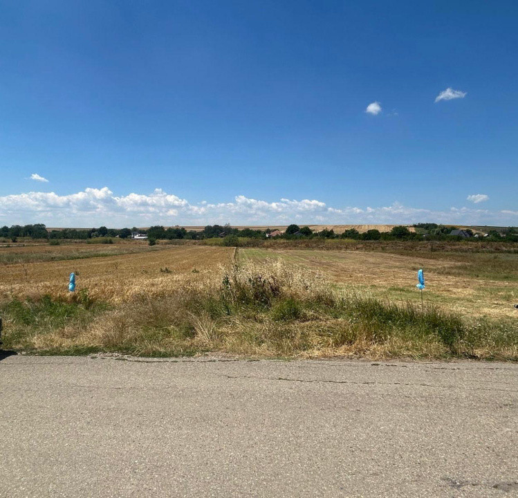 Teren intravilan, 1300 MP, Mischii