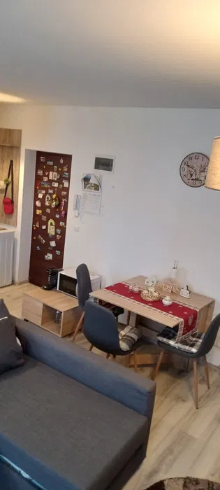 Apartament 2 camere, zona Turnisor
