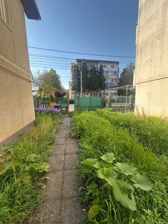 Doua case cu garaj si teren de 456mp