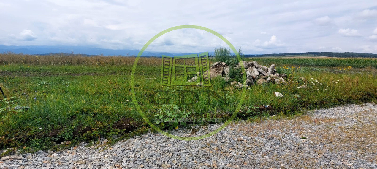 Teren Intravilan 500mp,spre vanzare in Sura Mica